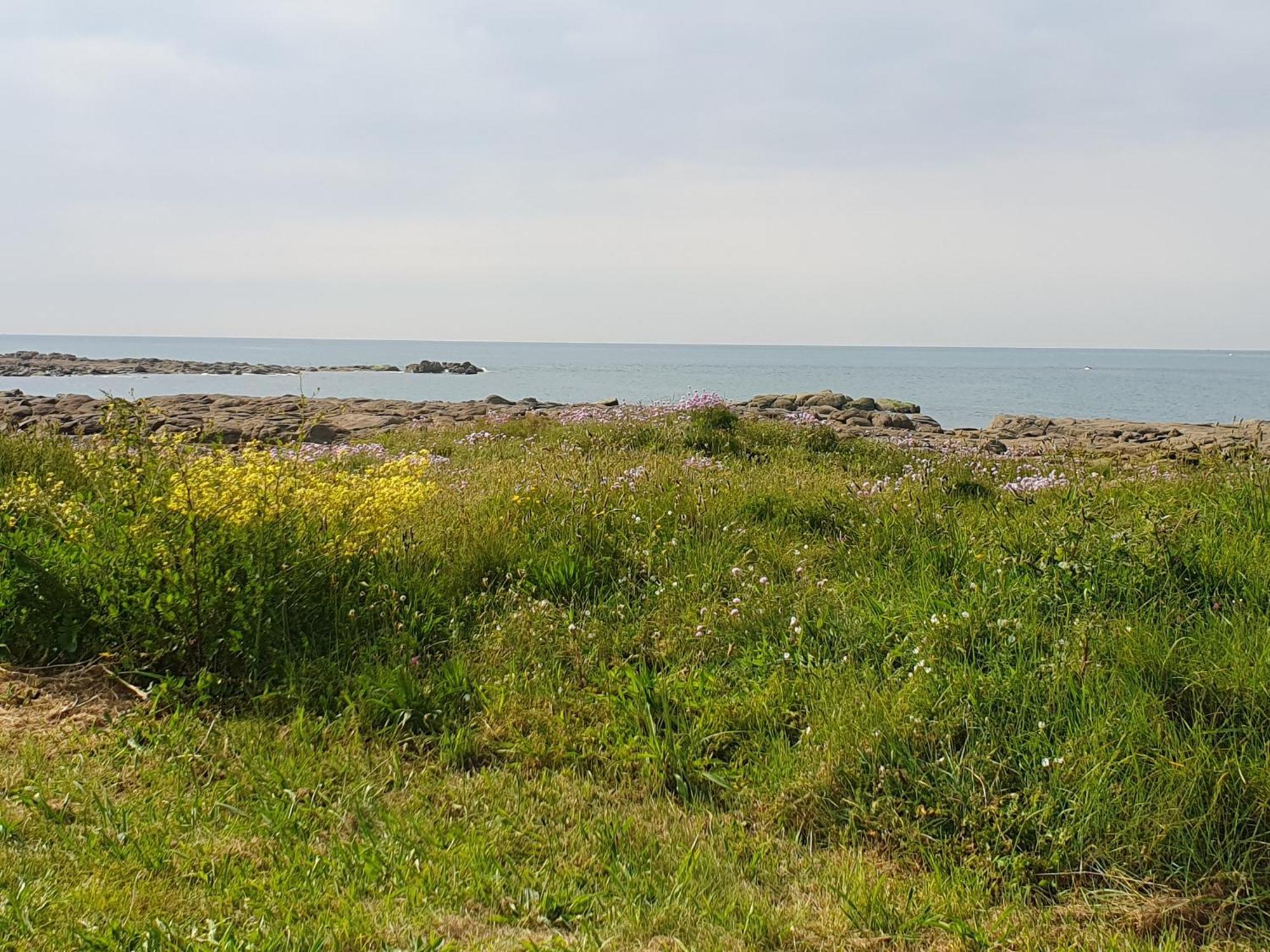Le Relais Du Phare Hotel Gatteville-le-Phare Eksteriør billede